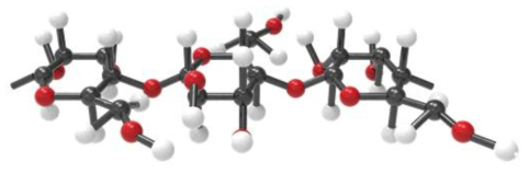 Cotton의 90% 이상을 이루는 Cellulose 구조