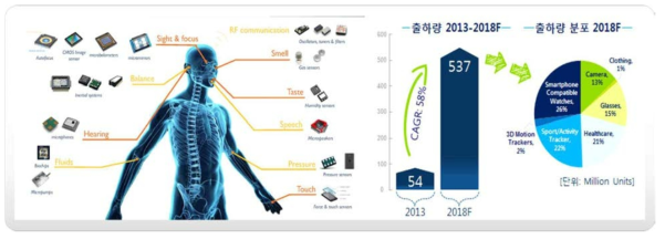 Wearable electronic의 다양한 응용 분야 (좌)와 Wearable device 출하량 전망 (우)