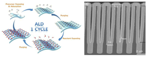 원자층증착법 (ALD) 공정의 모식도(좌)와 ALD Metal의 높은 단차피복성(우)