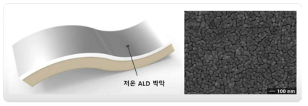 저온 metal ALD 박막의 가상도 (좌)과 SEM을 이용한 표면 분석 이미지 (우)