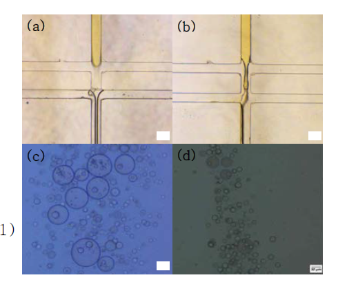 W1-Oil-W2 phase flow and unstable droplet formation due to hydrophilic coating conditions(Scale bar : 50 μm). (a) Case of Oil-W2 laminar flow. (b) Case of wet channel wall with W1 and Oil. (c),(d) Case of unstable double emulsion droplets formation