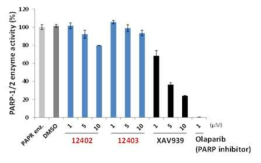 신규 합성화합물 대상 PARP-1/2 교차 특이성 검증