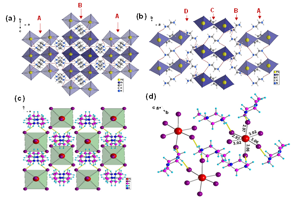 (a) Crystal strucutre of the (pip)2PbBr6,in which two metal halide dimers(Pb2Br128-) are stacked alternatively in AB form. (b) The piperazine dications in (pip)2PbBr6structurewere arranged in a chair conformation with an ABCDABCD stacking structure between the two dimers [Pb2Br11]. (c) The disconnected [PbBr6]4- octahedra are separated by large 1-methylpiperazine dications along the c-axis. (d) Octahedral coordination of lead ion (PbBr6),connecting with mpz dications through hydrogen bonds