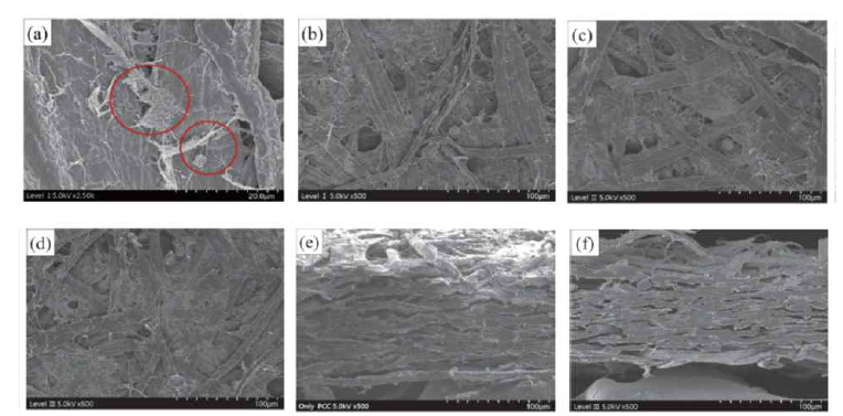 MFC/PCC 첨가 수초지의 표면 및 단면 FE-SEM 사진. (a) MFC+PCC, (b) MFC/PCC Lv. I, (c) MFC/PCC Lv. II, (d) MFC/PCC Lv. III, (e) MFC+PCC, (f) MFC/PCC Lv. III