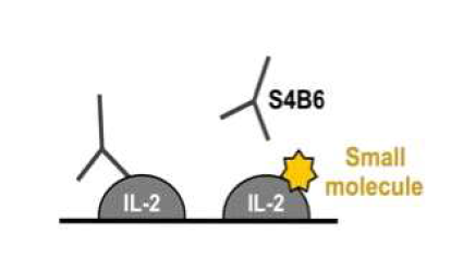 Competitive ELISA assay 모식도