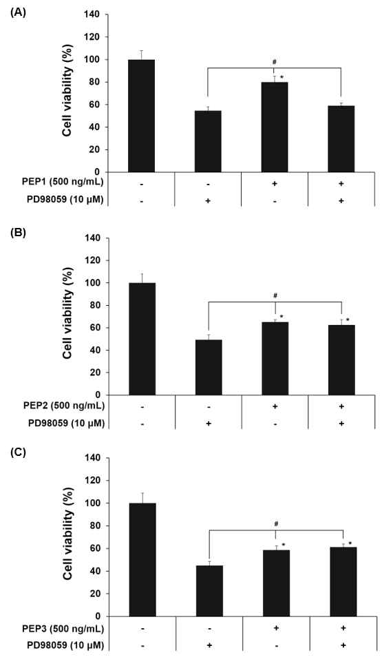 Effect of MEK inhibitor (PD98083) on cell proliferation induced by PEP1 (A), PEP2 (B), and PEP3 (C) treatment in ICE-6 cells. #p < 0.05 vs. without treatment of PEP and inhibitor group. *p < 0.05 vs. without treatment PEP and treatment inhibitor group