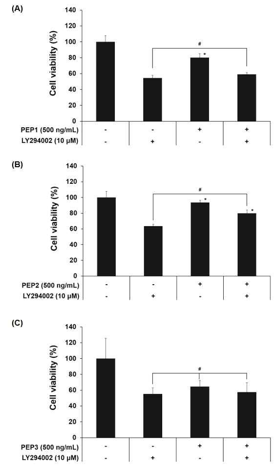 Effect of PI3K inhibitor (LY294002) on cell proliferation induced by PEP1 (A), PEP2 (B), and PEP3 (C) treatment in ICE-6 cells. #p < 0.05 vs. without treatment of PEP and inhibitor group. *p < 0.05 vs. without treatment PEP and treatment inhibitor group