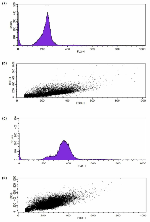 Flow cytometry analysis showing the DNA histograms and scatter diagrams of propidium iodide (red fluorescence, FL2-H)-labeled oysters. (a, b) Diploid oysters. (c, d) Triploid oysters. Diploid oysters were used as a control for the amount of DNA. FSC-H, forward side scatter-height; SSC-H, side scatter-height