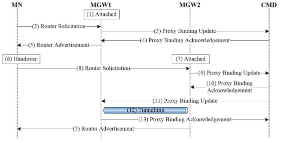 PMIP-DMM-1