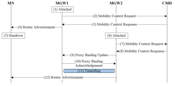 PMIP-DMM-2