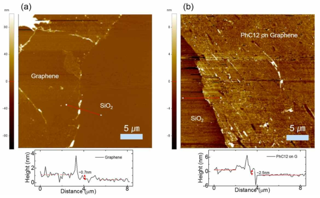 (a) Graphene/SiO2의 AFM 이미지와 단차 그래프, (b) PhC12/Graphene과 SiO2간의 AFM 이미지와 단차 그래프