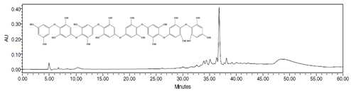 The chemical structure of compound isolated from I. sinicola and HPLC chromatogram