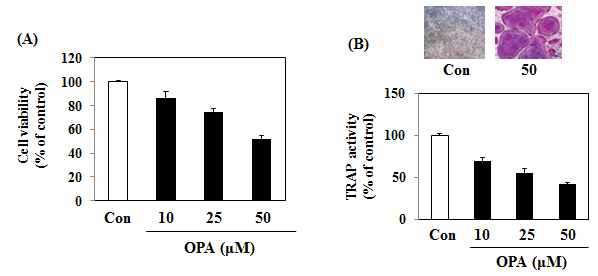 Octaphlorethol A isolated from Ishige sinicola inhibited RANKL-induced osteoclast formation in RAW264.7 cells