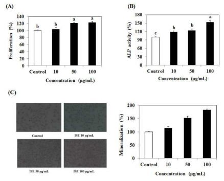 Effects of ISE on cell proliferation and osteogenic differentiation in MC3T3-E1 cells. (A) Cell viability assay. (B) ALP activity. (C) Mineralization assay. ISE: Ishige sinicola extract