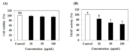 Effects of ISE on TRAP activity in Raw 264.7 cells induced by RANKL. ISE: Ishige sinicola extract