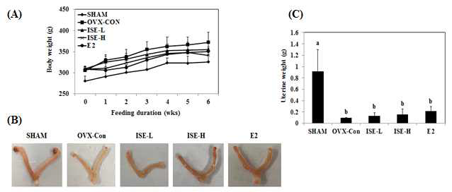 Effect of ISE on (A) body weight changes, (B) uterine morphology and (C) uterine weight in OVX rats