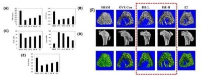 Effect of ISE trabecular μCT in OVX rats. (A) Bone meneral density, (B) bone volume/tissue volume, (C) trabecular thickness, (D) trabecular separation, and (E) trabecular number as analyzed with μCT. The micro-computed tomography images were analyzed by Viva CT80