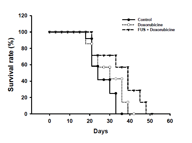 저강도 집중초음파와 Doxorubicine의 복합치료의 생존능