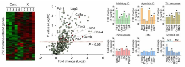 NanoString Immune Profiling을 이용한 면역 신호전달 쳬계 분석