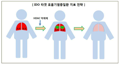 IDO 발현유도 폐염증질환 치료 전략