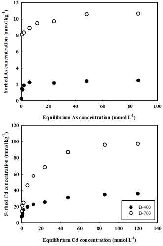 열분해 온도 400℃ 와 700℃에서 만든 거대억새 바이오차와 비산염(As(Ⅴ))과 카드뮴(Ca2+)의 흡착 평형