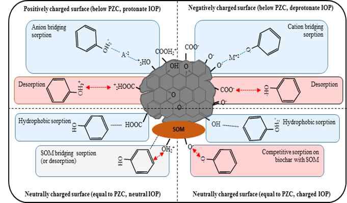 바이오차의 표면 전하, 오염물질 전하, 토양 유기물 그리고 공존 이온들의 존재 여부에 따른 흡착기작을 도식화