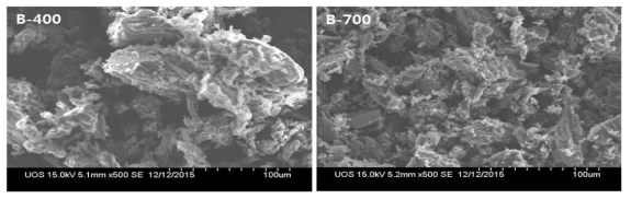 열분해 온도 400℃와 700℃에 만든 거대억새 바이오차의 주사전자현미경(SEM) 이미지