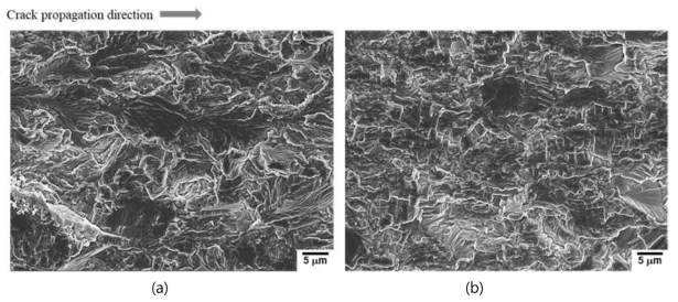 주사전자현미경을 이용하여 관찰한 박판 Ti64 합금 (a) 모재 및 (b) 성형품의 피로균열전파 시험된 ΔKth 영역 파단면