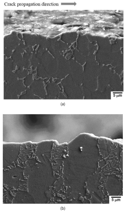 주사전자현미경을 이용하여 관찰한 박판 Ti64 합금 (a) 모재 및 (b) 성형품의 피로균열전파 시험된 ΔKth 영역 균열성장 경로