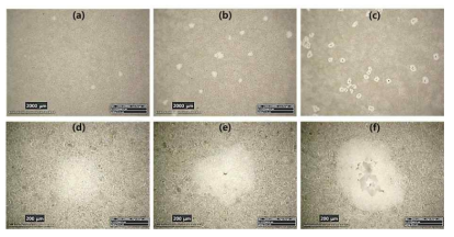 Optical surface images of PEO films formed on AZ31 Mg alloy for 5 min at 200 mA/cm2 of 310 Hz AC in aqueous solutions containing various Na3PO4 concentrations of (a, d) 0.1 M (b,e) 0. 15 M and (c, f) 0.2 M