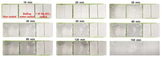 Corrosion behavior of PEO-treated AZ31 Mg alloy with immersion time at 20 ℃ in 0.1 M HCl solution. PEO films were formed for 3min at 200 mA/cm2 of 300 Hz AC in 0.1 M NaF + 0.2 M NaOH + 0.3 M Na2SiO3 solution and then sealed fro 30 min at boiling water and boiling 1 M Na2SiO3 solution