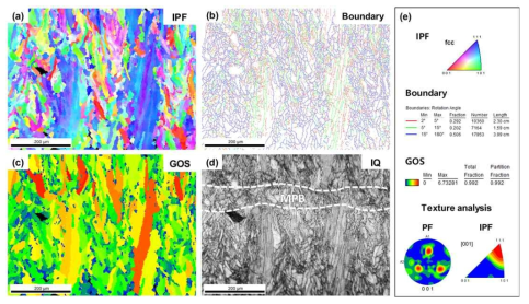 EBSD analysis of the SLM STS316L specimen: (a) an inverse pole figure map, (b) boundary map, (c) grain orientation spread map, (d) image quality map, and (e) corresponding information and texture analysis results