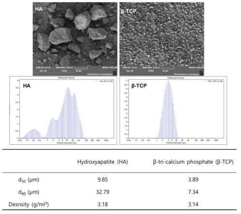 하이드록시 아파타이트-베타상 삼인산칼슘 원료분말의 크기 특성