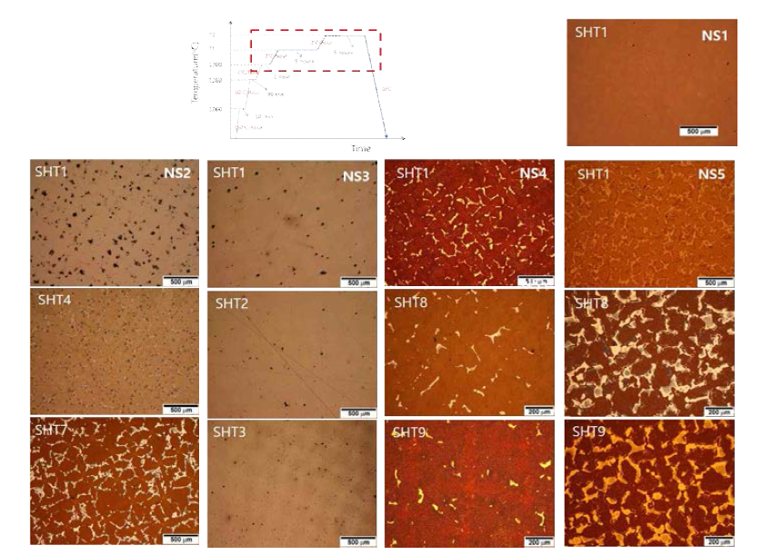 NN 설계합금 용체화 처리 후 미세조직