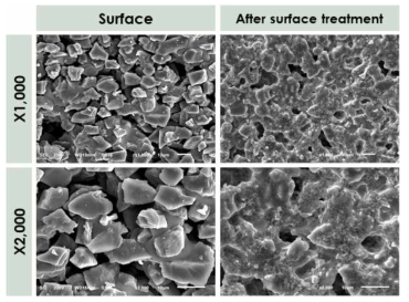 SiC 담체 채널의 표면처리 전후 채널 표면 SEM image 분석
