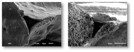 기존 알루미나 세라믹 폼과 규조토 세라믹 폼의 미세구조 차이를 나타내는 SEM 미세구조 사진