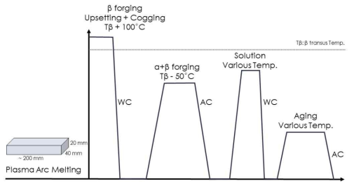 Plasma arc melting으로 제조된 신 Ti합금 블레이드 TMCP공정도