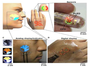 유연소재기반 광센서 및 디스플레이 구현