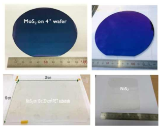 대면적 실리콘 기판 및 유연 PET 기판위에 합성된 MoS2 와 NiS2 합성 모습