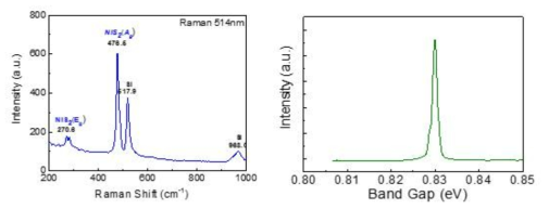 NiS2 박막의 라만 스펙트럼 및 PL 분석을 통해 얻은 밴드갭
