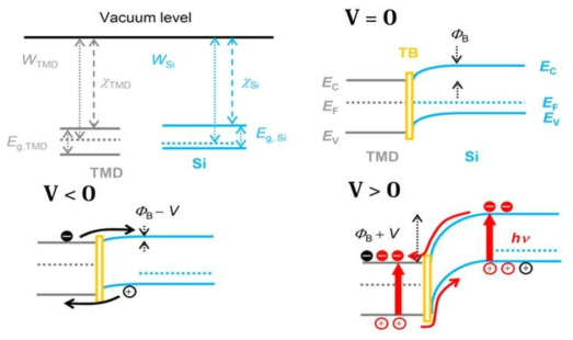 2D-Si 광센서의 energy band diagram