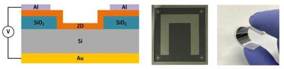 2D-Si Flexible 광센서의 구조 모식도와 실제 이미지 그리고 휘어진 사진