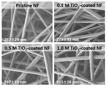 TiO2 광촉매 표면 개질된 세라믹 나노섬유 구조체의 FE-SEM 분석