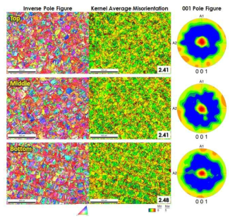 146mm 봉상 조형체 상/중/하 부분에서의 EBSD 미세조직 (top view)