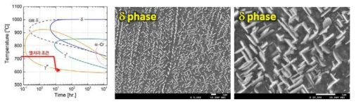 718합금의 TTT 곡선 및 δ상 미세조직