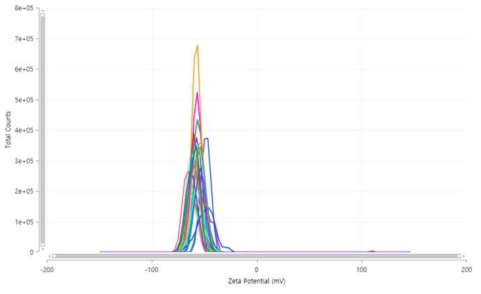 CNF용액의 Zeta potential 측정 그래프