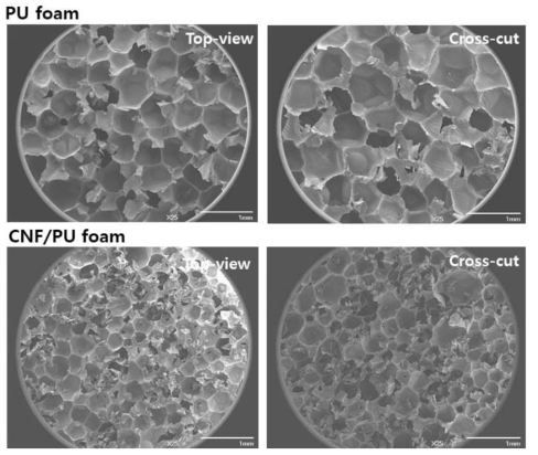 폴리우레탄 폼과 CNF/우레탄 폼의 FE-SEM 이미지