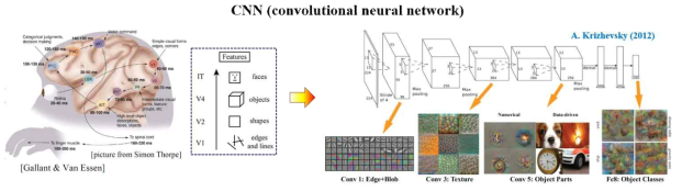 컨볼루션신경망(CNN)의 특징 및 대표 모델인 Alexnet의 구조