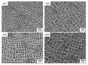 Al 제어 단결정 합금의 열처리 후 미세조직