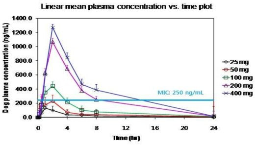 RX77 제제의 dose linearity test 비글견 PK 시험 결과 vs MIC